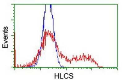 Flow Cytometry: HLCS Antibody (OTI1E4) [NBP2-01859]