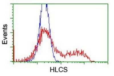 Flow Cytometry: HLCS Antibody (OTI1E4) - Azide and BSA Free [NBP2-70893]