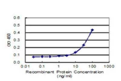 Sandwich ELISA Capture: HLF Antibody (2C9) [H00003131-M05]