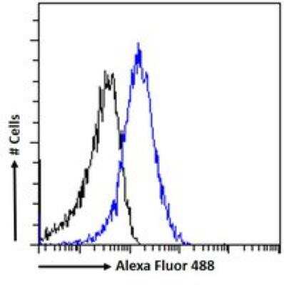 Flow Cytometry: HLTF Antibody [NB100-1041]