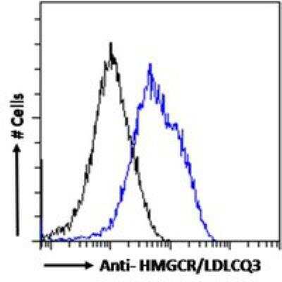 Flow Cytometry: HMG-CoA Reductase/HMGCR Antibody [NBP3-05292]