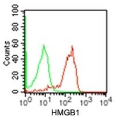 Flow Cytometry: HMGB1/HMG-1 Antibody (19N10B7) - Azide and BSA Free [NBP2-27395]
