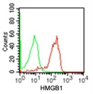 Flow Cytometry: HMGB1/HMG-1 Antibody (19N10B7) - BSA Free [NBP2-27396]