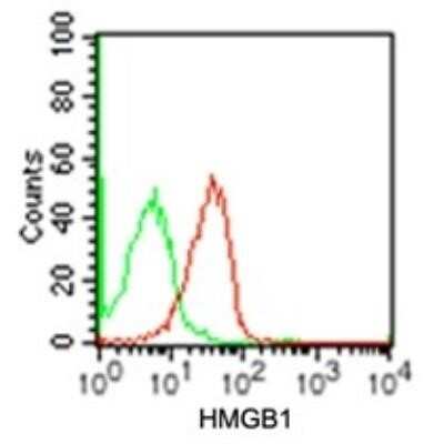 Flow Cytometry: HMGB1/HMG-1 Antibody (19N15F4) - Azide and BSA Free [NBP2-80775]