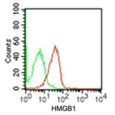 Flow Cytometry: HMGB1/HMG-1 Antibody (19N15F4) [NBP2-27401]