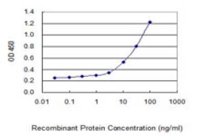 Sandwich ELISA Capture: HMGB1/HMG-1 Antibody (1D5) [H00003146-M02]