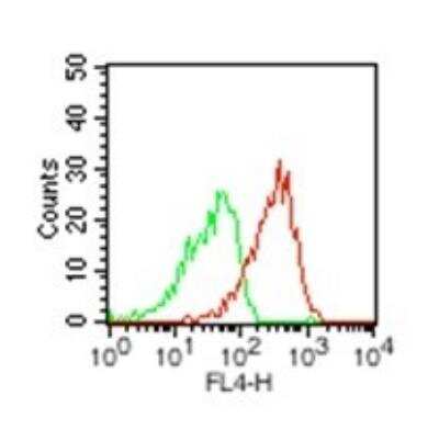 Flow Cytometry: HMGB1/HMG-1 Antibody [NBP2-27117]