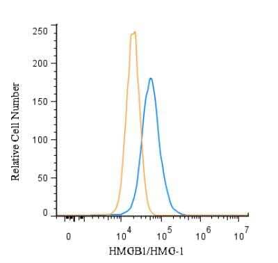 Flow (Intracellular): HMGB1/HMG-1 Antibody [NB100-2322]