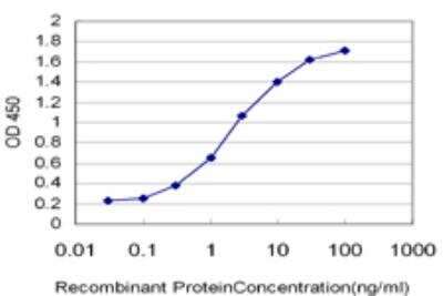ELISA: HMGB2 Antibody (3E5) [H00003148-M05]