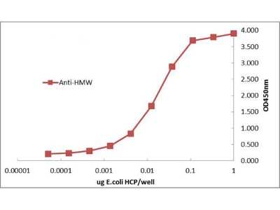 ELISA: HMW E.Coli Host Cell Proteins Antibody [NBP2-44206]