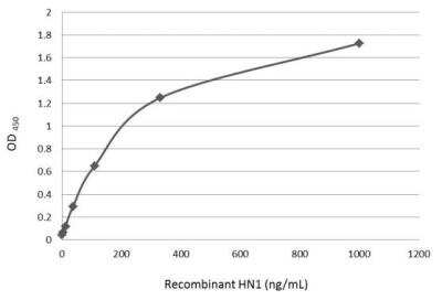 ELISA: HN1 Antibody [NBP1-32510]
