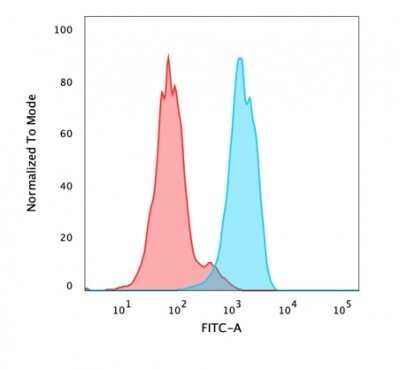Flow Cytometry: HNF-3 alpha/FoxA1 Antibody (FOXA1/1518) - Azide and BSA Free [NBP2-54414]