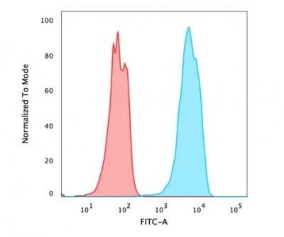 Flow Cytometry: HNF-3 alpha/FoxA1 Antibody (FOXA1/2230R) - Azide and BSA Free [NBP3-08921]
