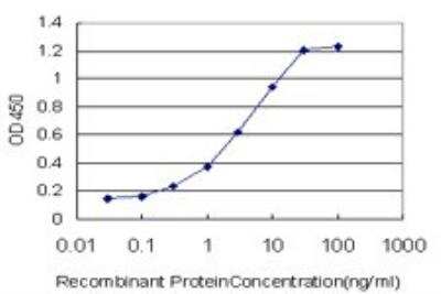 ELISA: HNF-3 beta/FoxA2 Antibody (6C12) [H00003170-M12]