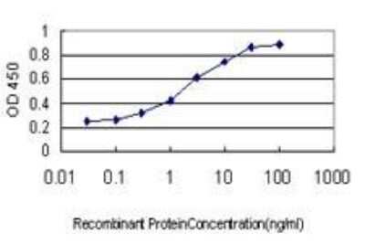 ELISA: HNF-3 beta/FoxA2 Antibody (7E6) [H00003170-M01]