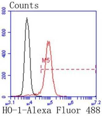 Flow Cytometry: HO-1/HMOX1/HSP32 Antibody (SP08-07) [NBP2-67382]