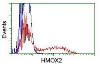 Flow Cytometry: HO-2/HMOX2 Antibody (OTI1C2) - Azide and BSA Free [NBP2-70895]