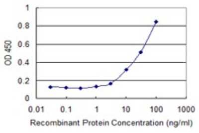 ELISA: HOOK3 Antibody (3A5) [H00084376-M04]