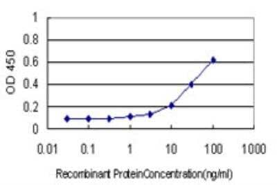 ELISA: HOP Antibody (3D6) [H00084525-M01]