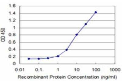 ELISA: HOXA5 Antibody (1D12) [H00003202-M03]