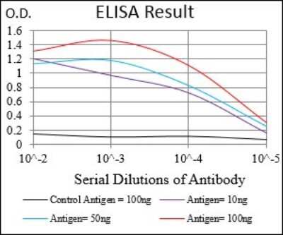 ELISA: HOXB4 Antibody (3A2F2) - BSA Free [NBP2-37257]