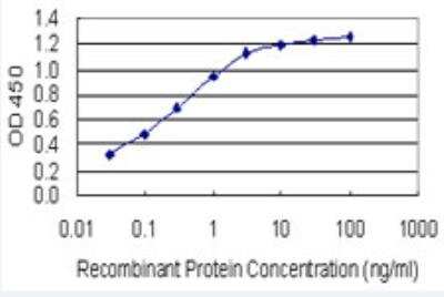 ELISA: HOXB6 Antibody (8E3) [H00003216-M01-100ug]