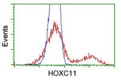 Flow Cytometry: HOXC11 Antibody (OTI3E10) - Azide and BSA Free [NBP2-70913]