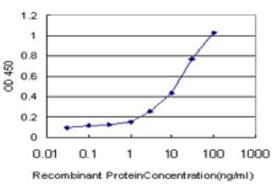 ELISA: HOXC12 Antibody (2E9) [H00003228-M03]