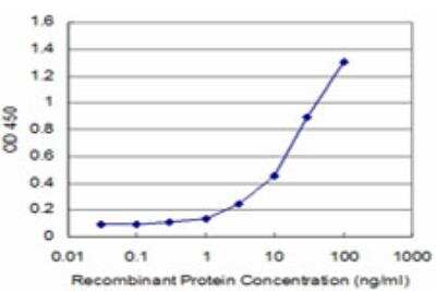 ELISA: HOXC12 Antibody (3E1) [H00003228-M09]