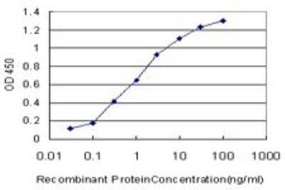 ELISA: HOXD11 Antibody (6C8) [H00003237-M10]