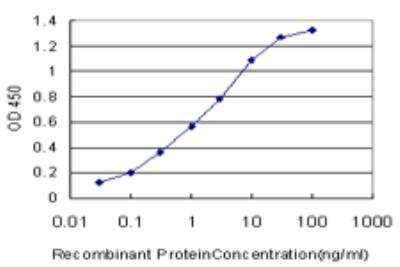 ELISA: HOXD11 Antibody (6D8) [H00003237-M06]