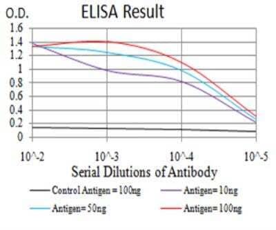 ELISA: HP1 alpha Antibody (1B10B2) - BSA Free [NBP2-52433]