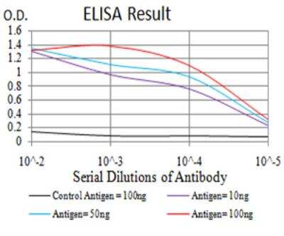 ELISA: HP1 alpha Antibody (3A11F8) - BSA Free [NBP2-52434]