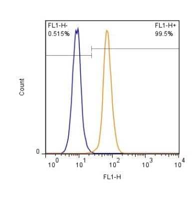Flow (Intracellular): HP1 alpha Antibody [NB100-2518]