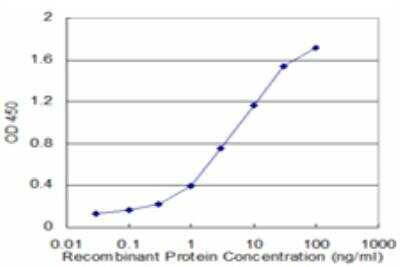 ELISA: HPD Antibody (2F3) [H00003242-M07]