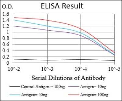 ELISA: HPRT Antibody (5F11A7) - BSA Free [NBP2-37245]