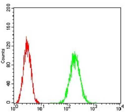 Flow Cytometry: HPRT Antibody (5F11A7) - BSA Free [NBP2-37245]