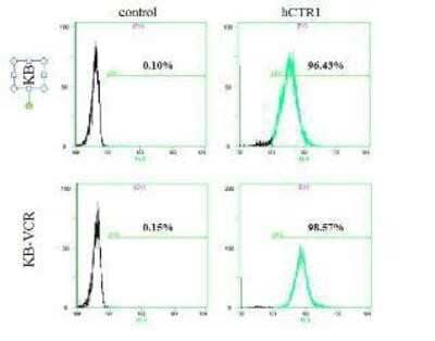 Flow Cytometry: HPa1 Antibody (DHIC2-2C12) [NBP1-18949]