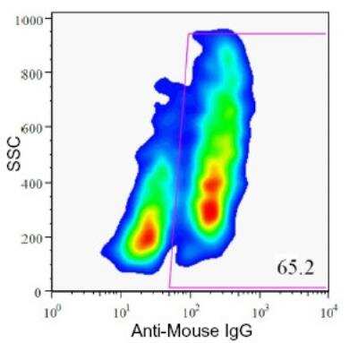 Flow Cytometry: HPi1 Antibody (HIC0-4F9) [NBP1-18872]