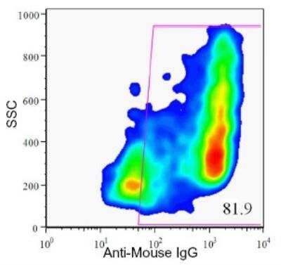 Flow Cytometry: HPi2 Antibody (HIC1-2B4.2B) [NBP1-18946]