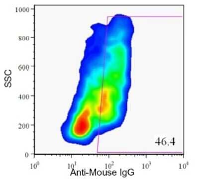 Flow Cytometry: HPi3 Antibody (HIC1-7H10) [NBP1-18947]