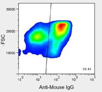 Flow Cytometry: HPx1 Antibody (HIC0-3B3) [NBP1-18951]