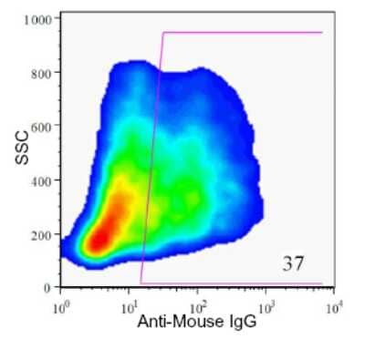 Flow Cytometry: HPx2 Antibody (HIC1-1C10) [NBP1-18952]