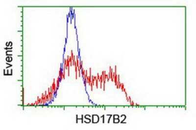 Flow Cytometry: HSD17B2 Antibody (OTI4F10) [NBP2-01952]