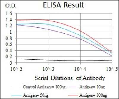 ELISA: HSF4 Antibody (2E7) - BSA Free [NBP2-37499]