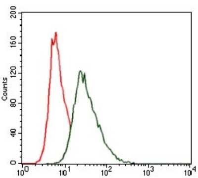 Flow Cytometry: HSF4 Antibody (2E7) - BSA Free [NBP2-37499]