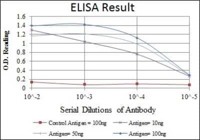 ELISA: HSP27 Antibody (5D7) - BSA Free [NBP2-37599]