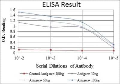ELISA: HSP60 Antibody (3G8) - BSA Free [NBP2-37617]