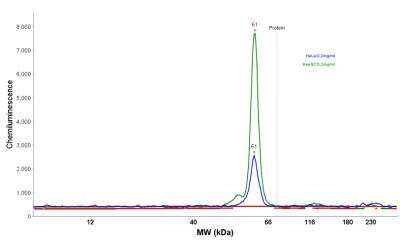 Simple Western: HSP60 Antibody (LK1) [NBP2-32973]