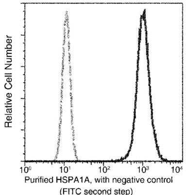 Flow Cytometry: HSP70/HSPA1A Antibody (001) [NBP2-89951]